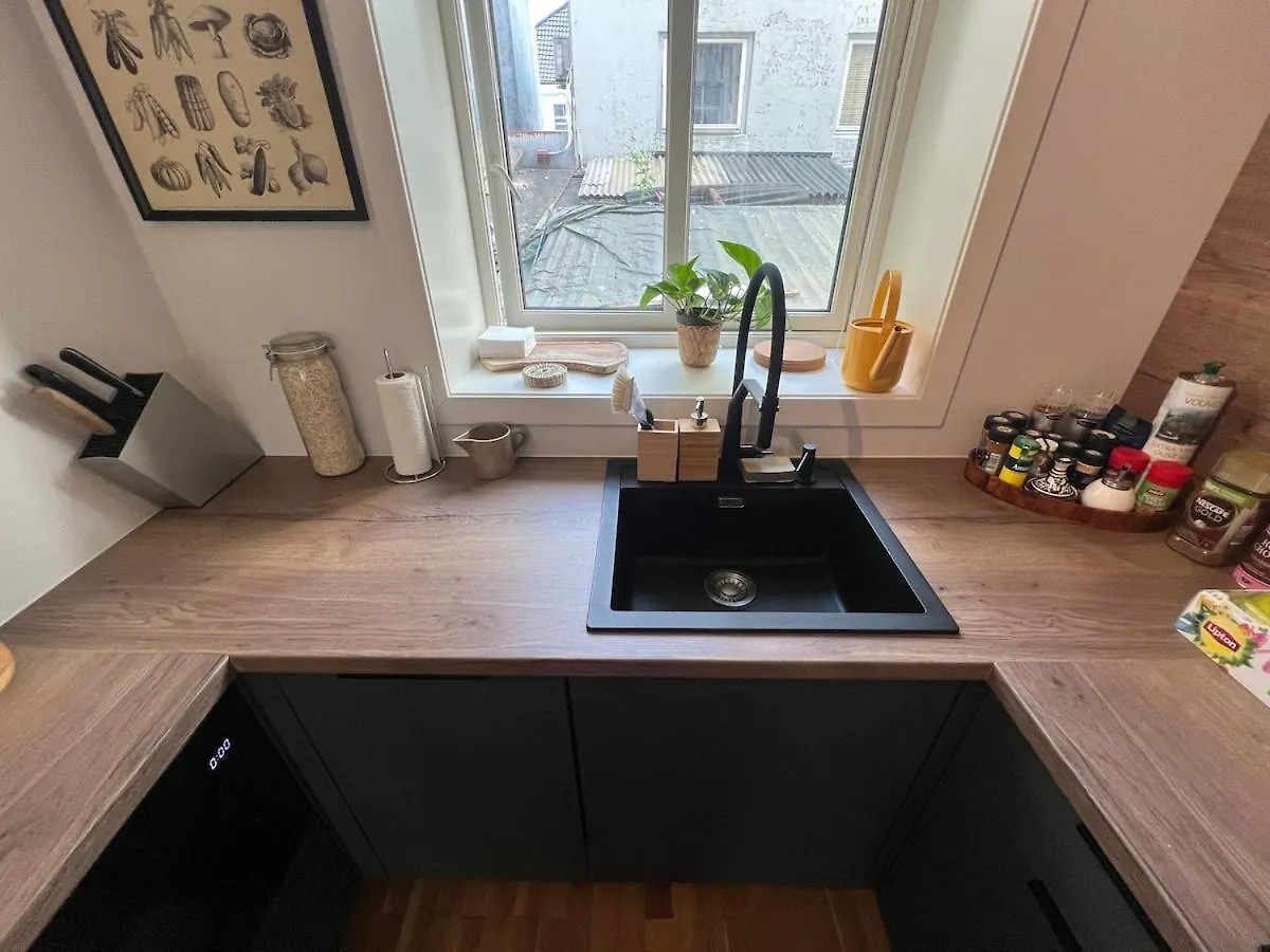 Cozy Gem In The Heart Of Bergen Apartment 0*,  Norway