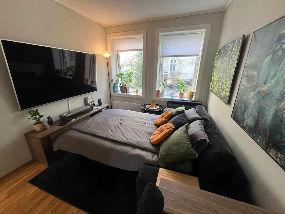 Cozy Gem In The Heart Of Bergen Apartment
