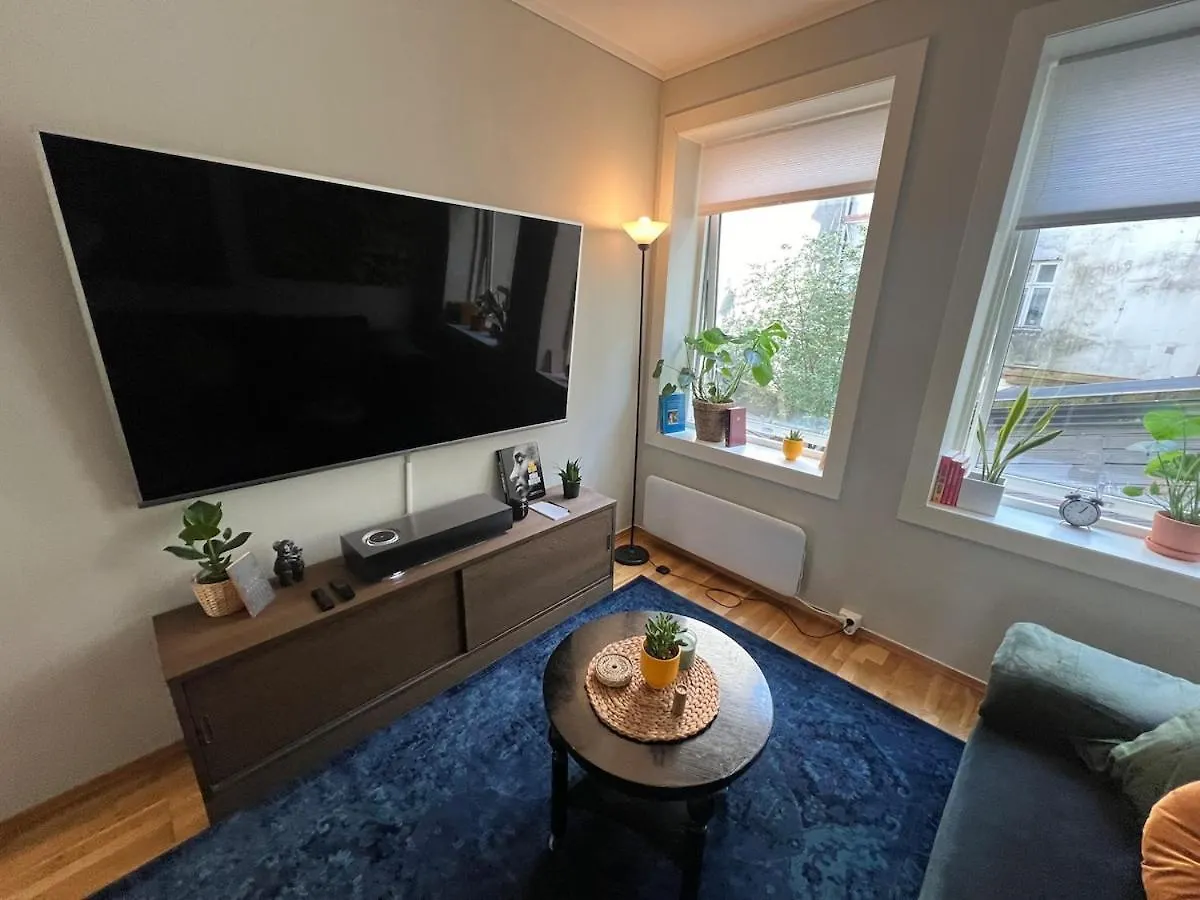 Cozy Gem In The Heart Of Bergen Apartment