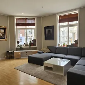 Hakonsgaten 11 Apartment